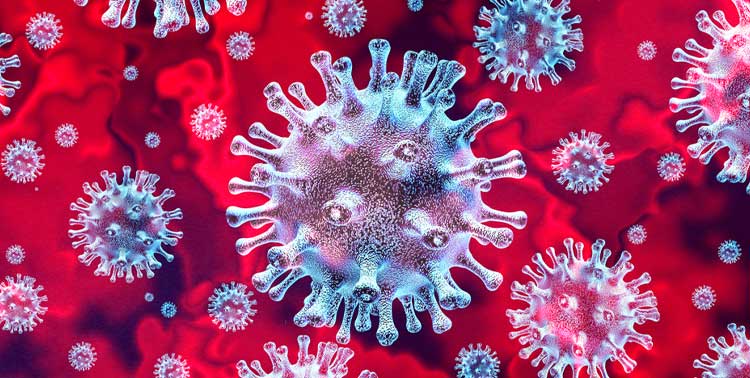 Corona-Virus